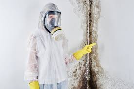 Best Mold Removal for HVAC Installations  in Roland, AR